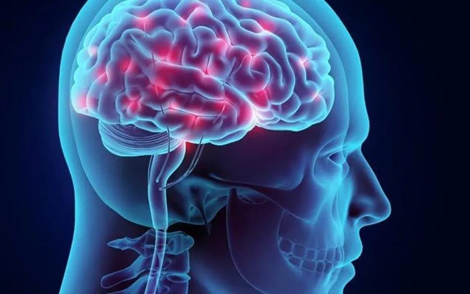 Regeneracja układu nerwowego: 7 skutecznych metod