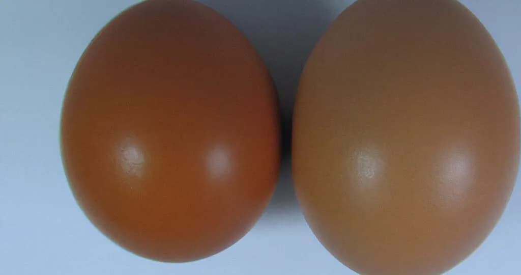 Kaloryczność dwóch jajek: poznaj dokładną wartość dla każdej potrawy