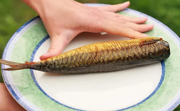 Ile kalorii ma makrela wędzona - kompletny poradnik kaloryczności ryby