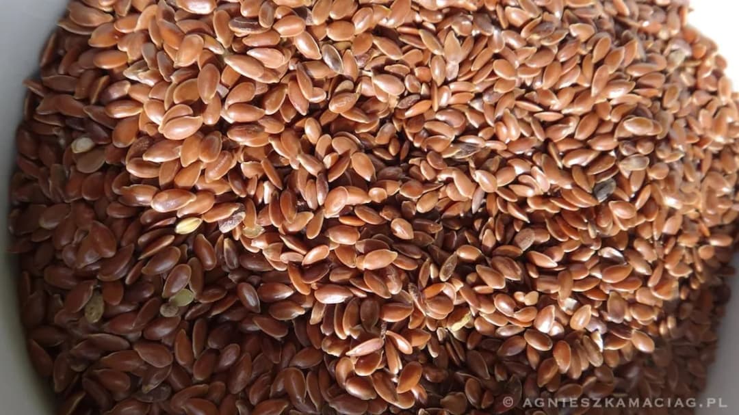 Ile kalorii ma siemię lniane: pełny poradnik kontroli kaloryczności