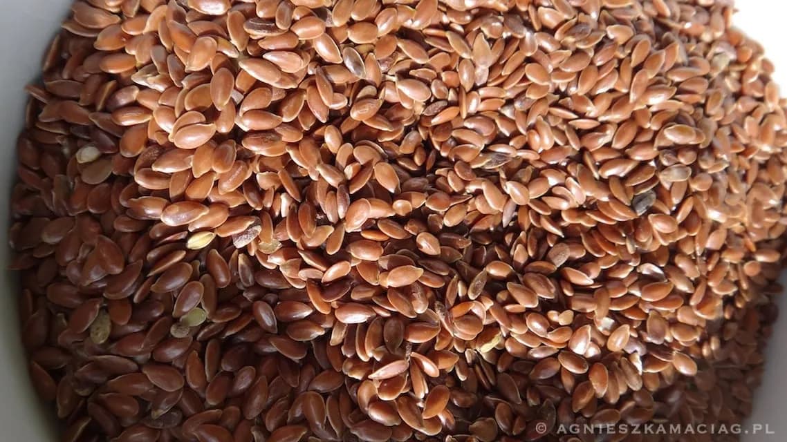 Ile kalorii ma siemię lniane: pełny poradnik kontroli kaloryczności