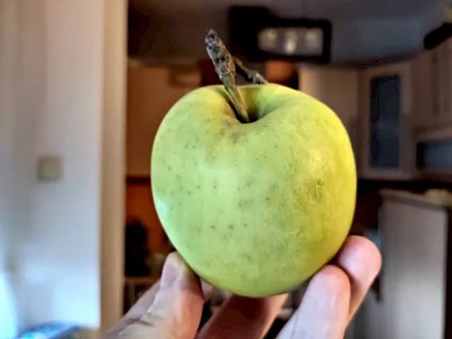 Ile kalorii ma małe jabłko - poznaj dokładną wartość kaloryczną owocu