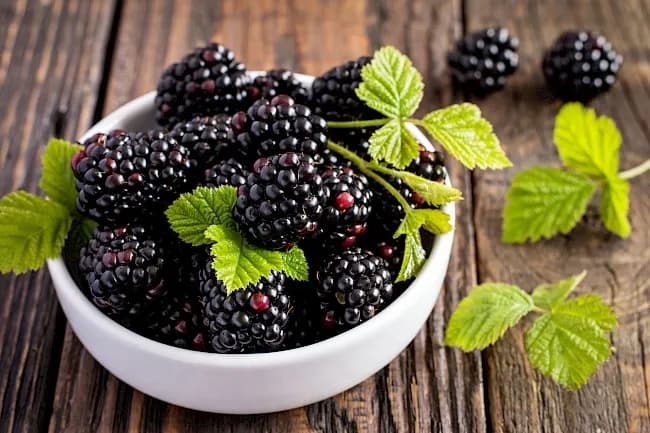 Ile kalorii mają jeżyny i jak wpływają na Twoją dietę - Poradnik zdrowia