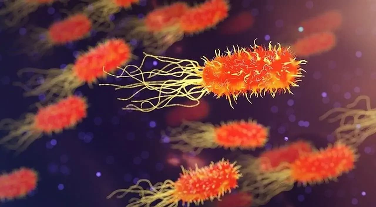Objawy C difficile: niebezpieczne powikłania, które musisz znać
